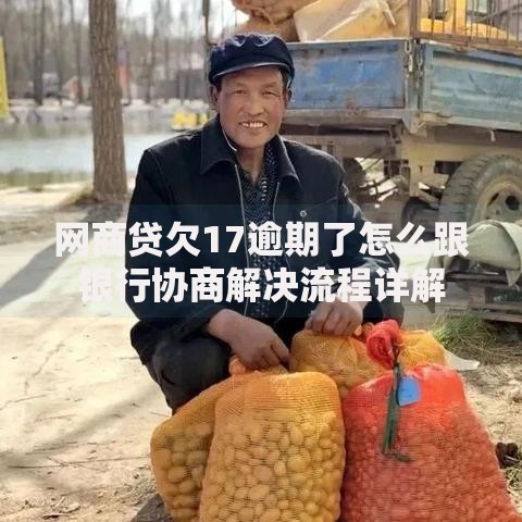网商贷欠17逾期了怎么跟银行协商解决流程详解