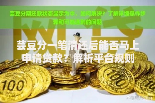 芸豆分一笔清还后能否马上申请贷款？解析平台规则