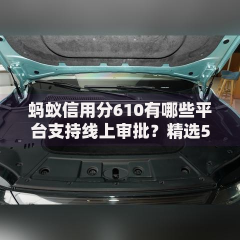 蚂蚁信用分610有哪些平台支持线上审批?精选5大可靠渠道 蚂蚁信用分610有哪些平台支持线上审批?精选5大可靠渠道