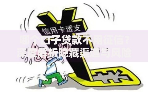 哪个口子贷款不用征信？深度解析隐藏渠道与风险