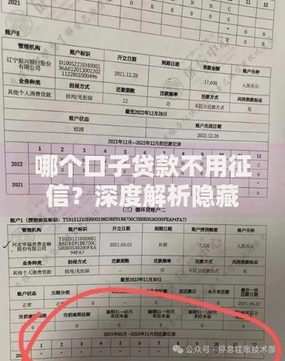 哪个口子贷款不用征信？深度解析隐藏渠道与风险