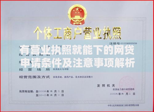 有营业执照就能下的网贷申请条件及注意事项解析