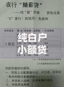 纯白户小额贷款申请条件流程与风险规避指南