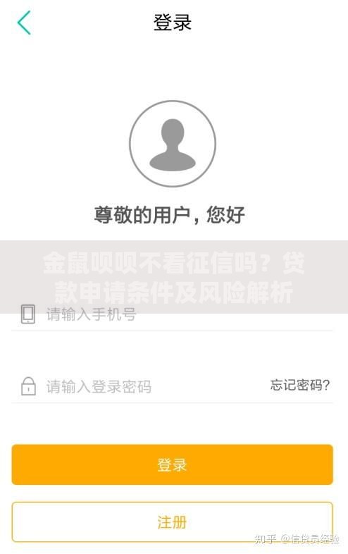 金鼠呗呗不看征信吗？贷款申请条件及风险解析