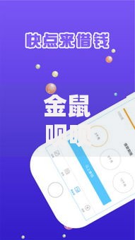 金鼠呗呗不看征信吗？贷款申请条件及风险解析