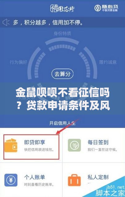 金鼠呗呗不看征信吗？贷款申请条件及风险解析
