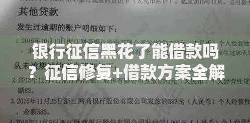 银行征信黑花了能借款吗？征信修复+借款方案全解析