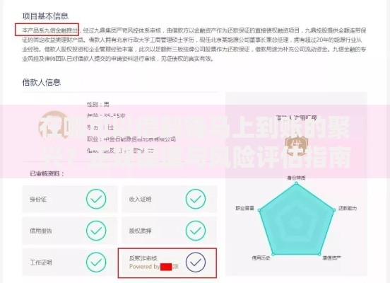 在哪可以借到钱马上到账的聚兴？正规渠道与风险评估指南