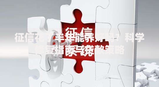 征信花了半年能养好吗？科学修复指南与贷款策略
