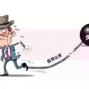 不查征信的借钱平台如何选择才安全可靠