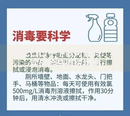 黑花口口子下款可靠吗？真实风险与避坑指南