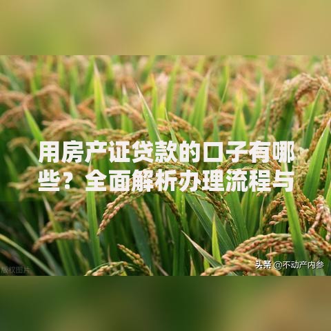 用房产证贷款的口子有哪些?全面解析办理流程与注意事项 用房产证贷款的口子有哪些?全面解析办理流程与注意事项