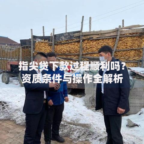 指尖贷下款过程顺利吗？资质条件与操作全解析