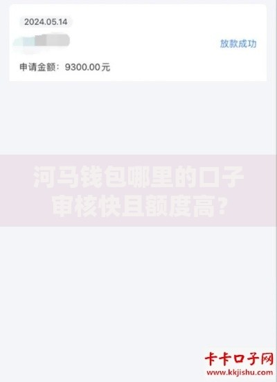 河马钱包哪里的口子审核快且额度高？