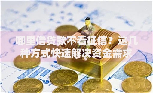 哪里借贷款不看征信？这几种方式快速解决资金需求