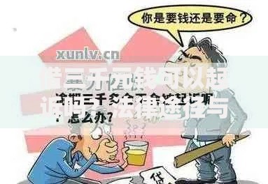 借三千元钱可以起诉吗？法律途径与维权全解析