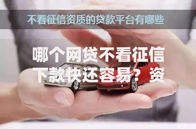 哪个网贷不看征信下款快还容易？资质要求与平台推荐解析