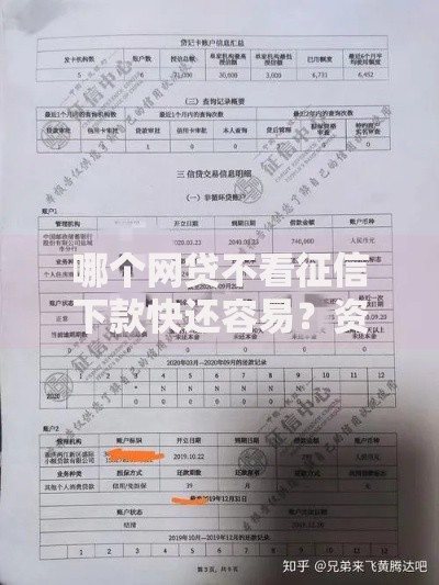 哪个网贷不看征信下款快还容易？资质要求与平台推荐解析