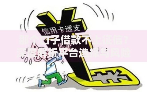 那个口子借款不上征信？深度解析平台选择与风险防范