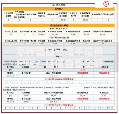 怎样查自己是不是黑户呢？征信自查全解析