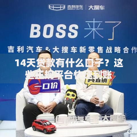 14天贷款有什么口子？这些正规平台快速到账