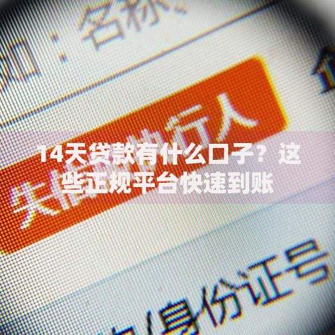 14天贷款有什么口子？这些正规平台快速到账