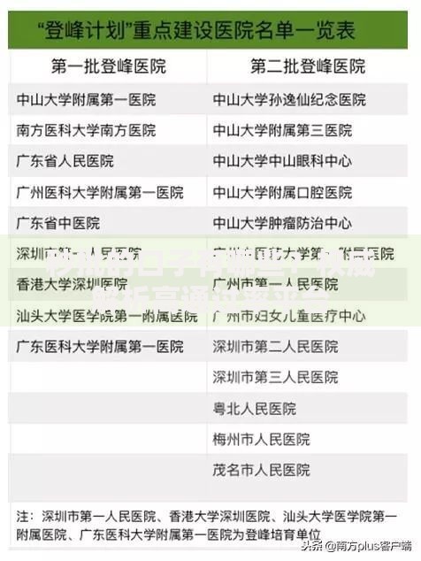秒批的口子有哪些？权威解析高通过率平台