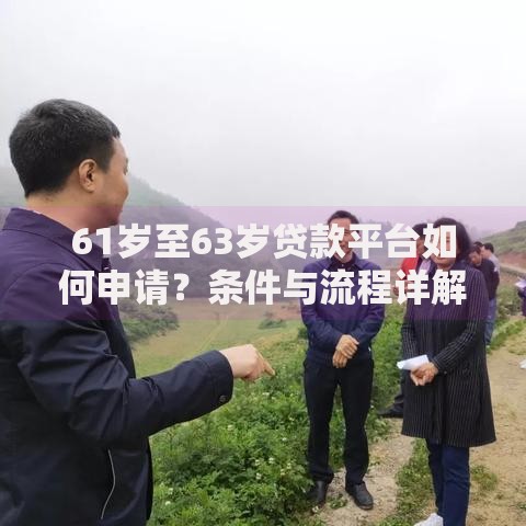 61岁至63岁贷款平台如何申请？条件与流程详解