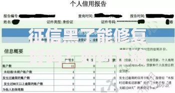 征信黑了能修复好吗？如何正确修复信用记录