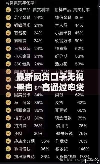 最新网贷口子无视黑白：高通过率贷款渠道深度解析