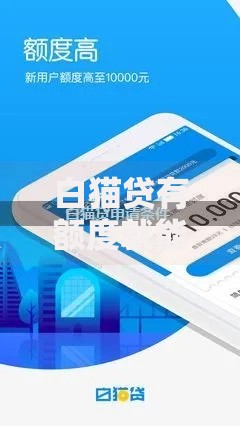 白猫贷有额度就能下款吗？全面解析下款条件及影响因素