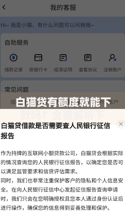 白猫贷有额度就能下款吗？全面解析下款条件及影响因素