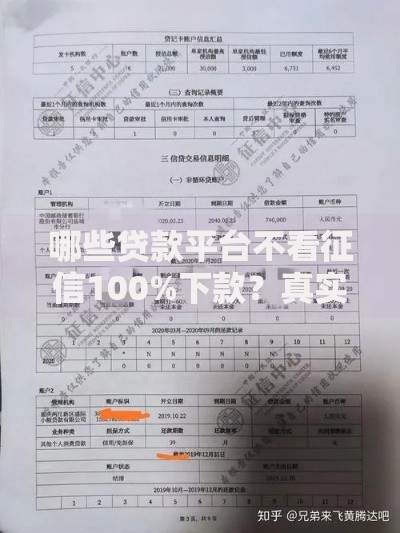 哪些贷款平台不看征信100%下款？真实渠道风险解析