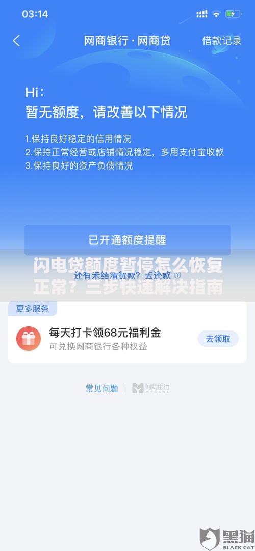闪电贷额度暂停怎么恢复正常？三步快速解决指南