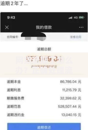网贷逾期了怎么办？正确处理流程与应对策略解析