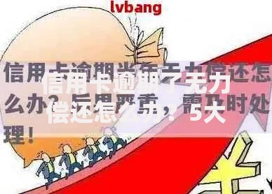 信用卡逾期了无力偿还怎么办？5大解决方案深度解析