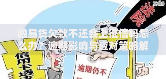 融易贷欠款不还会上征信吗怎么办？逾期影响与应对策略解析