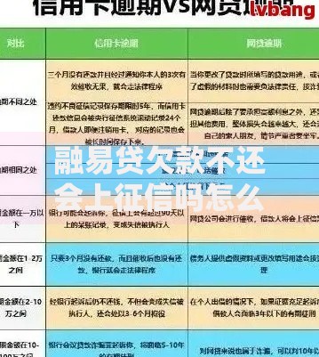 融易贷欠款不还会上征信吗怎么办？逾期影响与应对策略解析