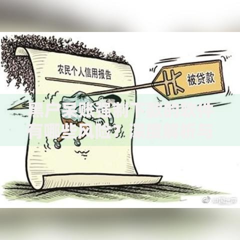 黑户呆账强制下款的软件有哪些风险？深度解析与防范指南