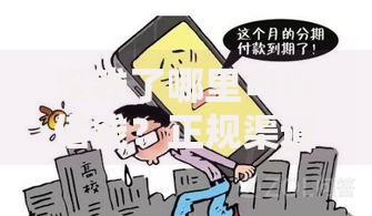 没钱了哪里可以借钱？正规渠道与避坑指南