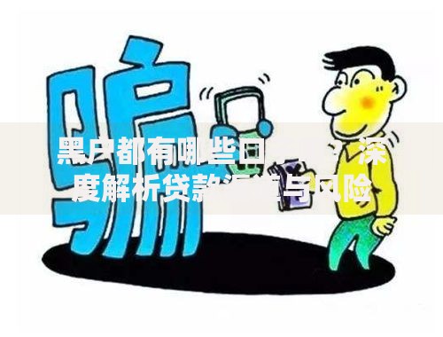 黑户都有哪些口子啊？深度解析贷款渠道与风险