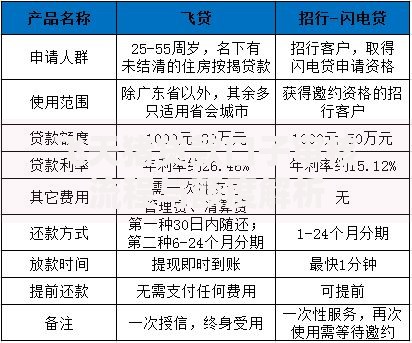 飞天猪贷款口子审核流程与额度解析