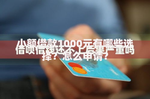 小额借款1000元有哪些选择？怎么申请？