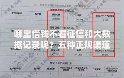哪里借钱不看征信和大数据记录呢？五种正规渠道解析