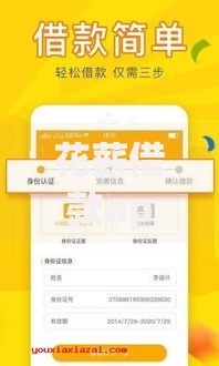 花薪借款app下载安卓版：正规贷款平台如何安全申请？