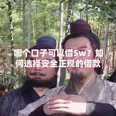 哪个口子可以借5w？如何选择安全正规的借款渠道