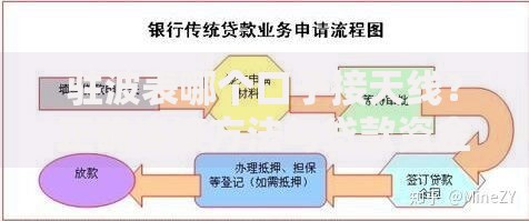 驻波表哪个口子接天线？正确连接方法与贷款资金周转关联解析