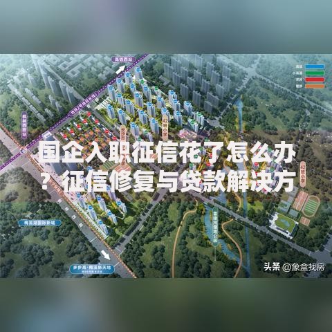 国企入职征信花了怎么办？征信修复与贷款解决方案