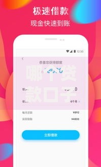 哪个贷款口子里有享些花？低息方案深度评测
