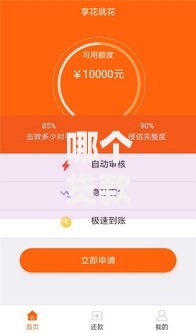 哪个贷款口子里有享些花？低息方案深度评测